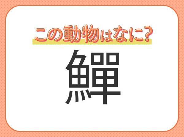 【鱓】はなんて読む？くねくねと泳ぐ海の動物！