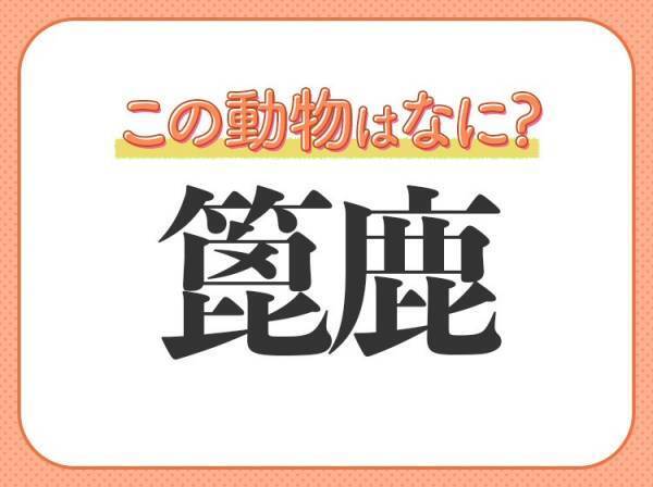 【篦鹿】はなんて読む？巨大なツノを持つ哺乳類！