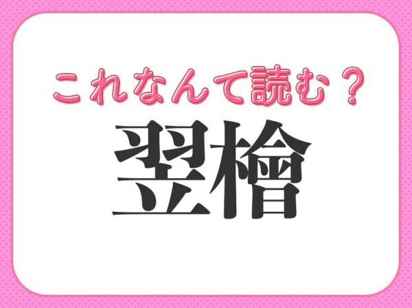 【翌檜】はなんて読む？意外と身近にある木のことです