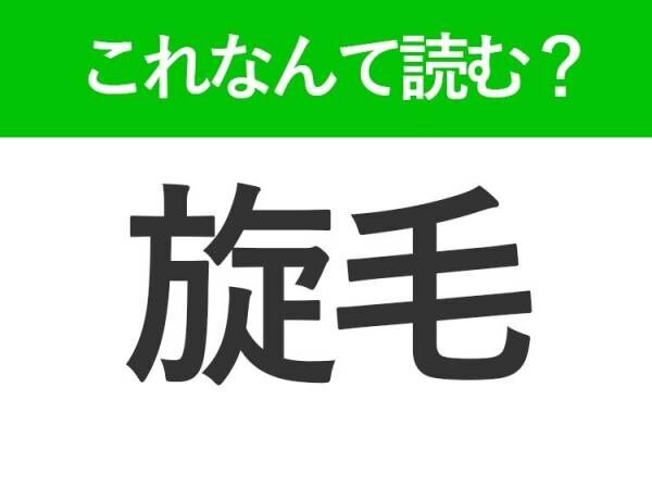 【旋毛】はなんて読む？どんな人にもある部分です！