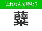 【糵】はなんて読む？有名な野菜を表わす難読漢字！