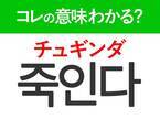 韓国語「죽인다（チュギンダ）」の意味は？韓国人がリアルに使う言葉！