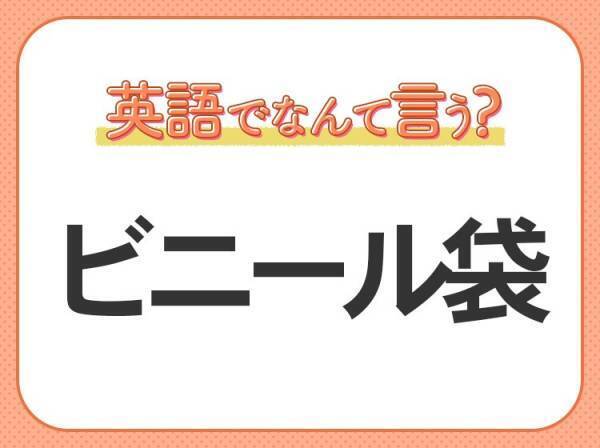 海外では通じない！【ビニール袋】を英語で正しく言えますか？