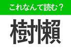 【樹懶】はなんて読む？みんなが知ってる動物を表わす難読漢字！