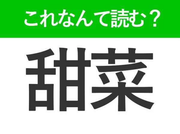 【甜菜】はなんて読む？砂糖がとれる植物！