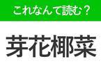 【芽花椰菜】はなんて読む？野菜を表わす難読漢字！