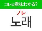 韓国語「노래（ノレ）」の意味は？K‐POP好きは覚えておきたい言葉！