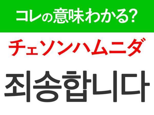 韓国語「죄송합니다（チェソンハムニダ）」の意味は？覚えておくと旅行に便利な言葉！