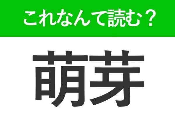 【萌芽】はなんて読む？「もえが」とは読みません！