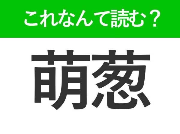 【萌葱】はなんて読む？春に芽を出す草木の色を表す難読漢字！