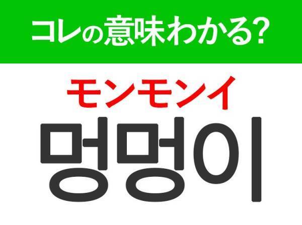 韓国語「멍멍이（モンモンイ）」の意味は？韓国人がリアルに使う言葉！