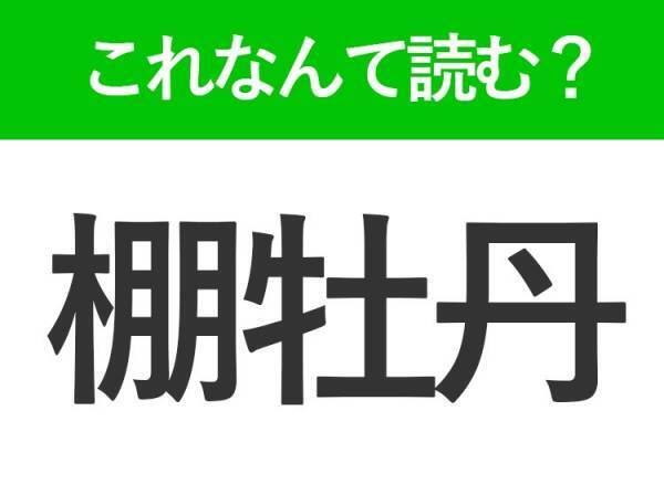 【棚牡丹】はなんて読む？「たなぼたん」ではありません！
