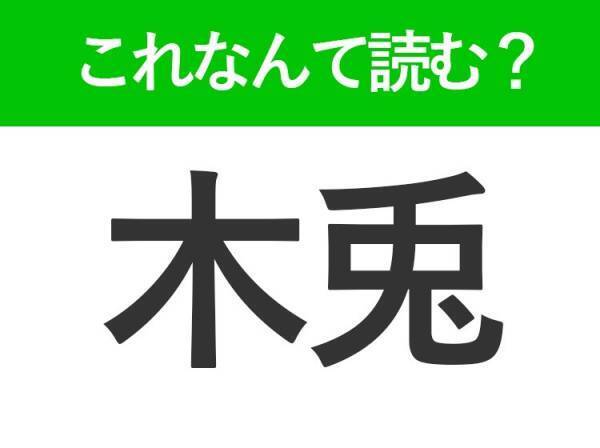 【木兎】はなんて読む？「きうさぎ」ではありません！意外な鳥の名前