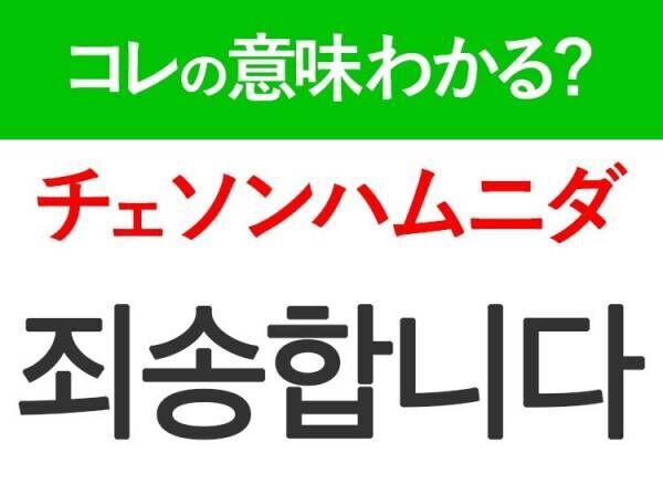 【韓国旅行に行く人は要チェック！】「コマウォ」は日常でよく使うことば！覚えておくと便利な韓国語3選