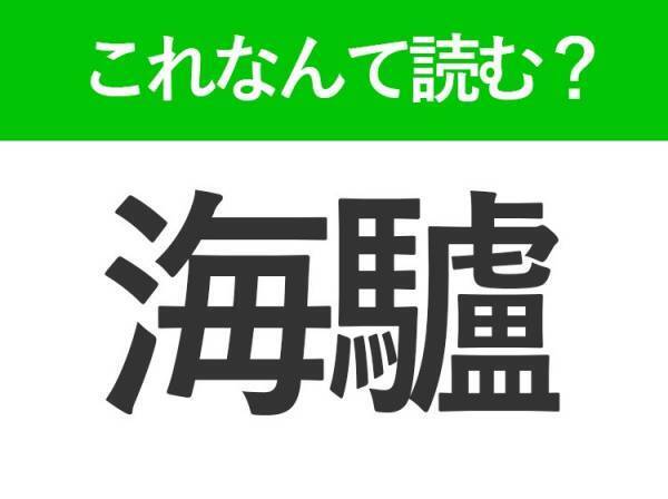 【海驢】はなんて読む？海に住む生きものを表す難読漢字！