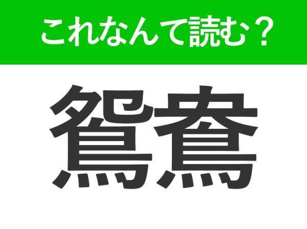 【鴛鴦】はなんて読む？答えは男女の様子を表す鳥の名前です！