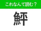 【鮃】はなんて読む？冬が旬の魚を表す難読漢字