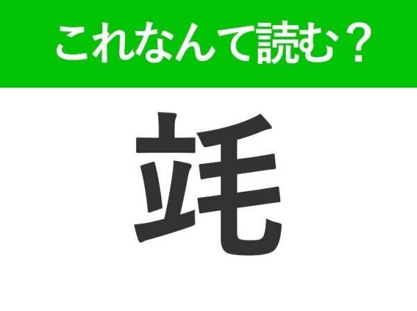 【竓】はなんて読む？実はある単位を表す言葉！