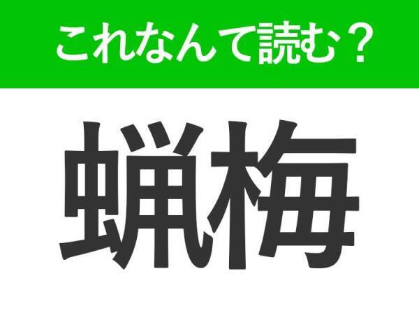 【蝋梅】はなんて読む？黄色い小花が可愛いお花の名前です！