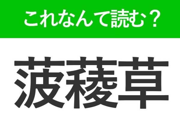 【菠薐草】はなんて読む？ある野菜を表す難読漢字