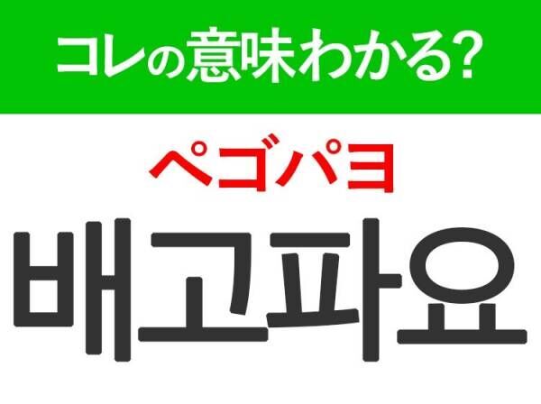 韓国語「배고파요（ペゴパヨ）」の意味は？韓国人がリアルに使う言葉！