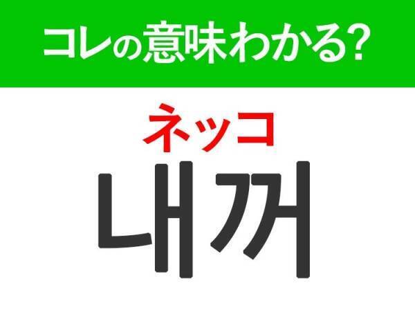 【K-POPファンは要チェック！】「ネッコ」はファンが言われたい言葉♡推し活に便利な韓国語3選