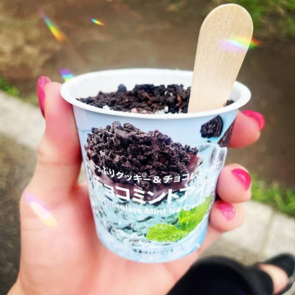 「コンビニで買えるチョコミントアイス3選」爽やかで濃厚な味わいにリピーター続出♡