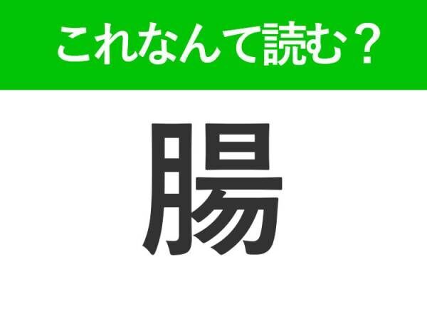 【腸】はなんて読む？ひらがな四文字のあの言葉！