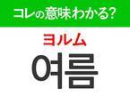 韓国語「여름（ヨルム）」の意味は？今使いたいあの言葉！