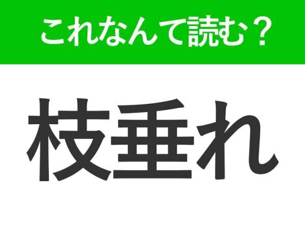 【枝垂れ】はなんて読む？「えだたれ」ではありません！