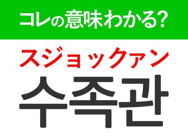 韓国語「수족관（スジョックァン）」の意味は？癒される〜♪あの場所の言葉！
