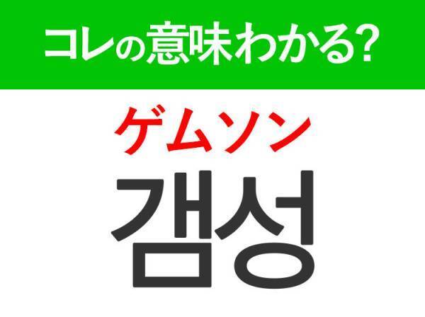 韓国語「갬성（ゲムソン）」の意味は？韓国人がリアルに使うあの言葉！