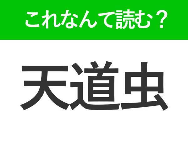 【天道虫】はなんて読む？みんなが知っている可愛い虫の難読漢字！