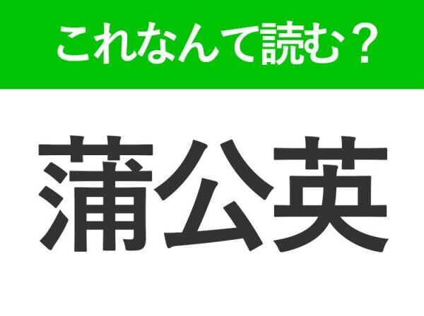 【蒲公英】はなんて読む？春に見かける黄色い花の名前です！