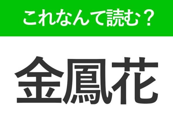 【金鳳花】はなんて読む？春に咲く花々の名前です！