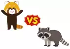 アライグマとレッサーパンダはどっちが強いの？【chatGPTに聞いてみた！】