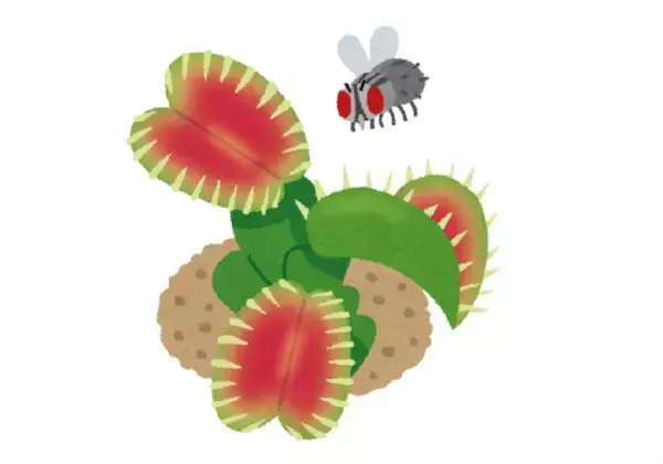 食虫植物はどうして虫を食べるの？【chatGPTに聞いてみた！】