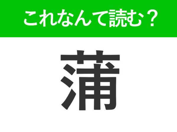 【蒲】はなんて読む？水辺に生えている植物の名前です