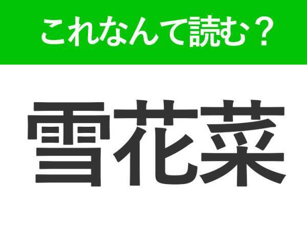 【雪花菜】はなんて読む？有名な食材の別称を表す！