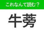 【牛蒡】はなんて読む？みんな知ってる食材を表す難読漢字！
