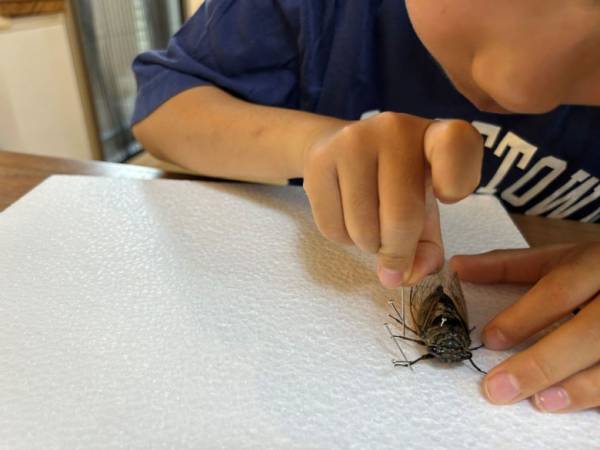 「どうする？！夏休み」「どうしてた？夏休み」ラジオ大阪アナ・和田家の夏休みをご紹介！