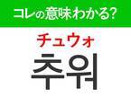 韓国語「추워（チュウォ）」の意味は？韓国人がリアルに使うあの言葉！