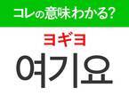 韓国語「여기요（ヨギヨ）」の意味は？韓国ドラマ『キング・ザ・ランド』にも出てきたあの言葉！