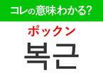 韓国語「복근（ポックン）」の意味は？「LE SSERAFIM」カズハが象徴のあの言葉！