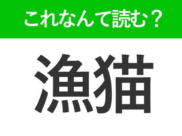 【漁猫】はなんて読む？魚が大好きな動物です