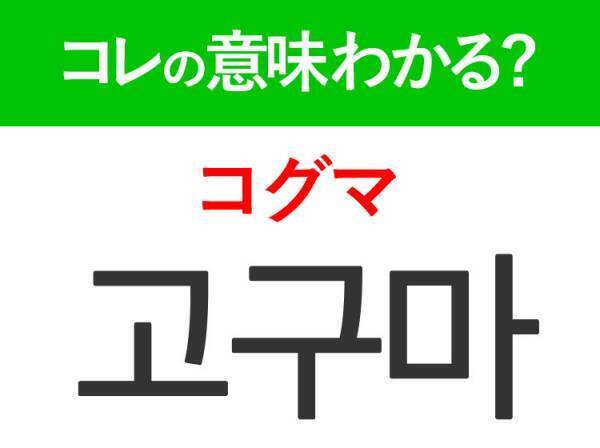 韓国語「고구마（コグマ）」の意味は？若者に大人気！ダイエット効果があるあの言葉！