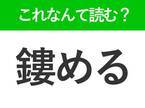 【鏤める】はなんて読む？キラキラしたイメージの難読漢字