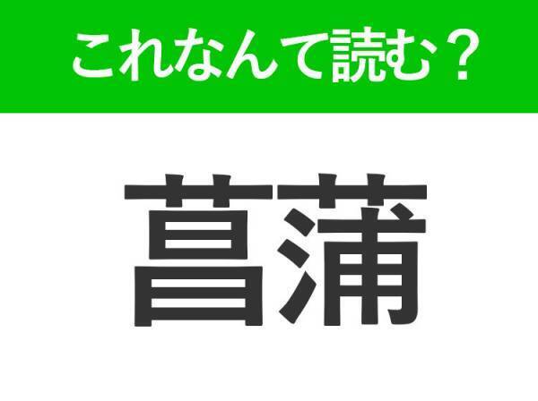 【菖蒲】はなんて読む？5月が見ごろの花の名前