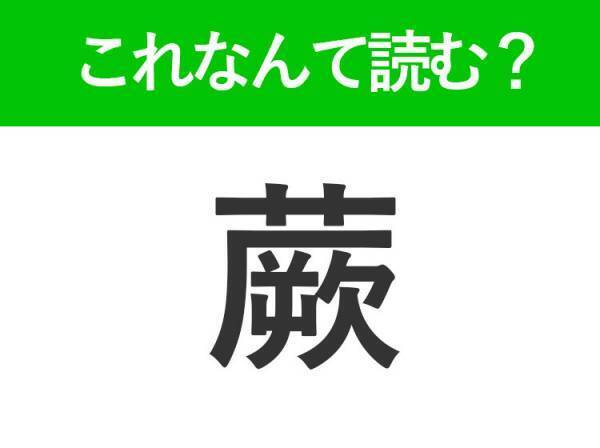 【蕨】はなんて読む？春から初夏が旬の山菜