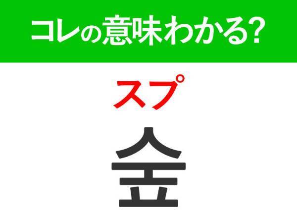 韓国語「숲（スプ）」の意味は？これから韓国旅行いく方には覚えて欲しいあの言葉！